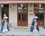 ����������� ���������