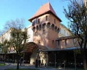 ���� ��������